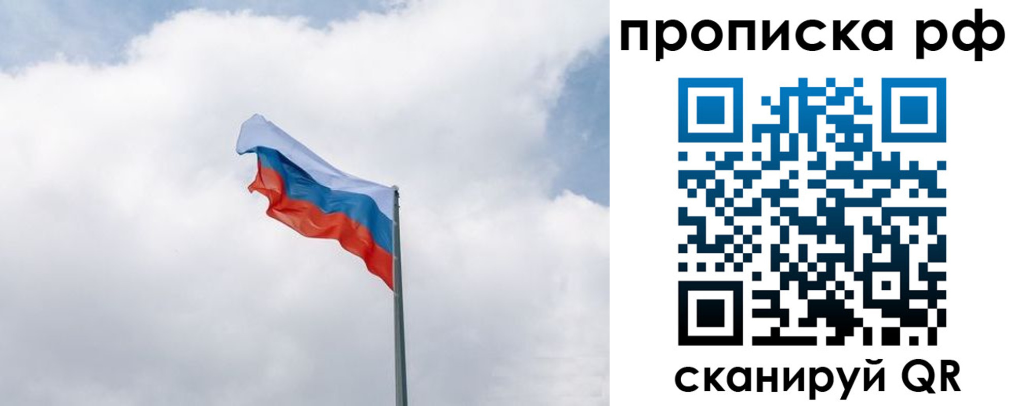 прописка гарантия в Тавде